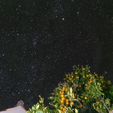"Villa Servanda " - Relax, Nature, Wide Views Of The Sea And A Starry Sky Puntagorda Kültér fotó