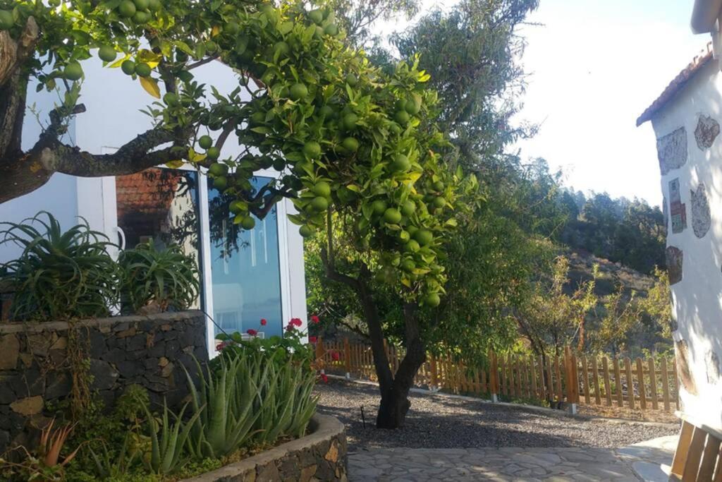 "Villa Servanda " - Relax, Nature, Wide Views Of The Sea And A Starry Sky Puntagorda Kültér fotó